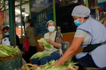 Bono Protección: Revisa cómo obtener el beneficio para dueñas de casa y jefes de hogar