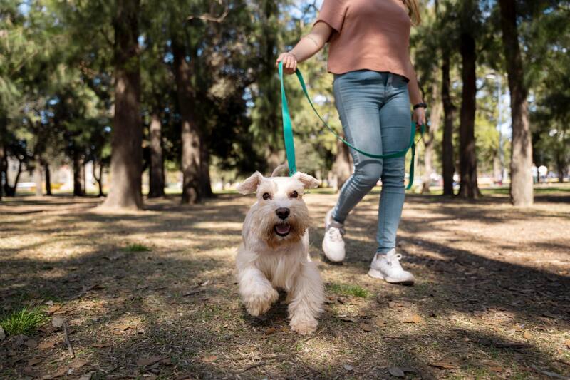 Tener un animal mejora la salud de las personas.