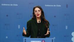 VIDEO | Ministra Vallejos desmiente que abogado de Interior defendiera a Llaitul en otra causa