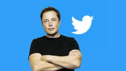 ¿Se cae la venta de Twitter? Elon Musk suspende su compra y provoca desplome del 20% en sus acciones