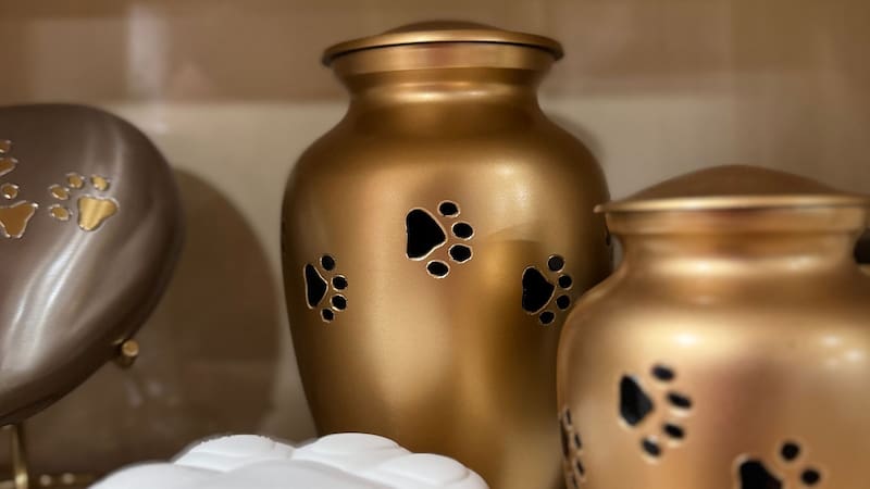 Muchas empresas de cremación ofrecen urnas dentro del costo.