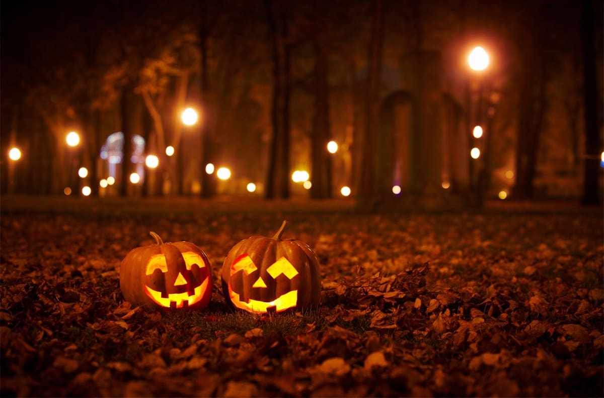 Rituales de Halloween: Descubre cómo atraer el amor, la protección y abundancia con 3 ritos