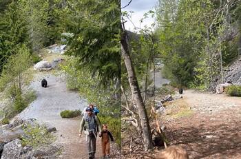 VIDEO | ¿Correr o no correr?: Familia es seguida por un oso negro mientras hacían senderismo