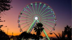 La Gran Rueda llega a Concepción: Ubicación, precios y fechas del panorama que se toma la Región del Biobío