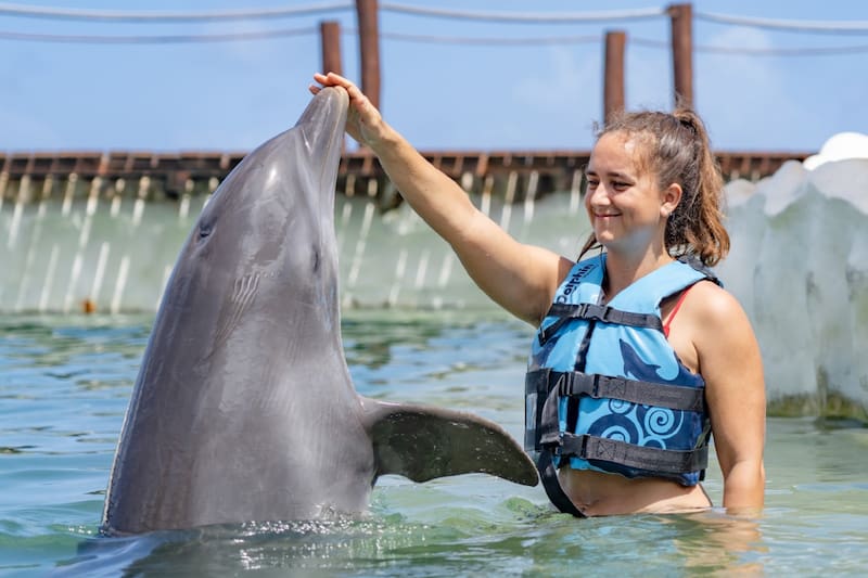 La compañía quedó en el ojo del huracán tras recibir acusaciones de maltrato animal.