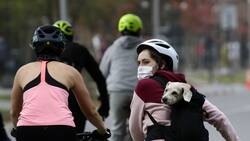 Ley de Convivencia Vial: anuncian nuevo reglamento para ciclistas y traslado de mascotas