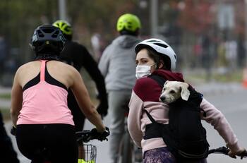 Ley de Convivencia Vial: anuncian nuevo reglamento para ciclistas y traslado de mascotas