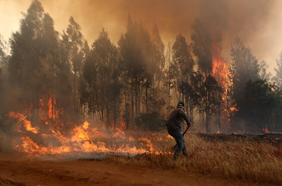 Alerta roja por incendio forestal en Lautaro: casas se encuentran en peligro por el fuego