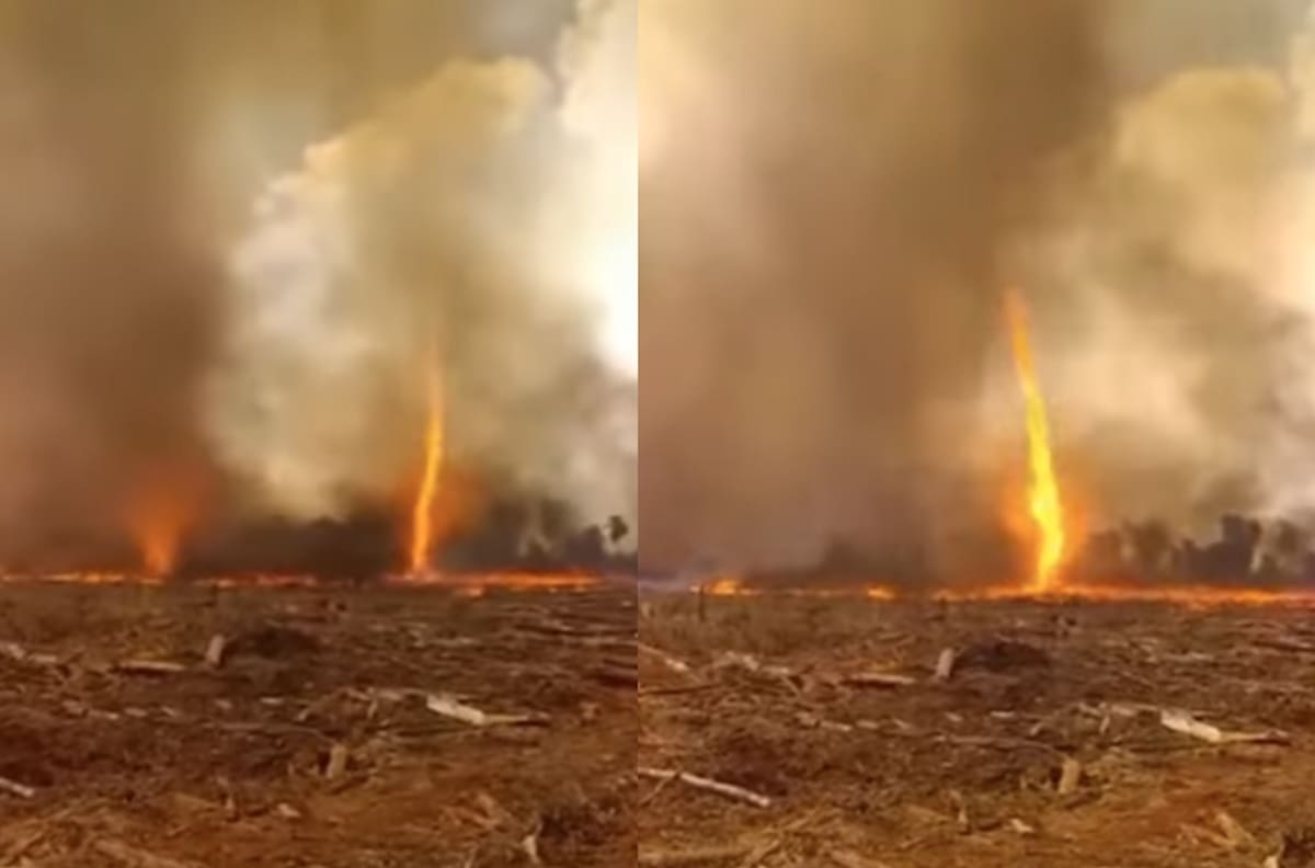 VIDEO | Registran tornados de fuego en Argentina: incendios han consumido más de dos mil hectáreas