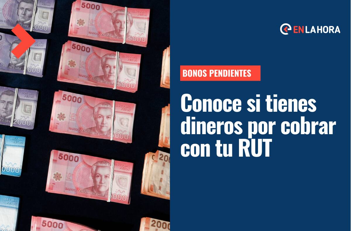 Bonos Pendientes: Ingresa tu RUT y conoce si tienes aportes monetarios pendientes de cobro