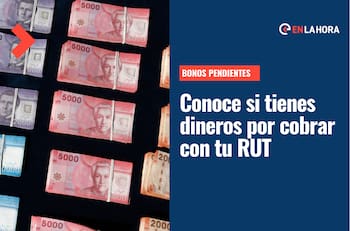 Bonos Pendientes: Ingresa tu RUT y conoce si tienes aportes monetarios pendientes de cobro