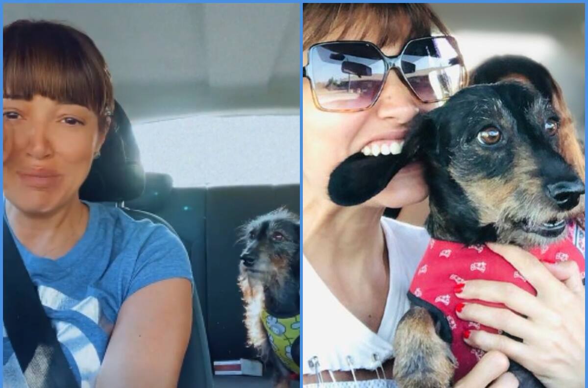 "Mi compañero de vida entra a una operación”: Yamila Reyna llora y pide que envíen sus buenas energías ante importante cirugía de su perrito, Ernesto