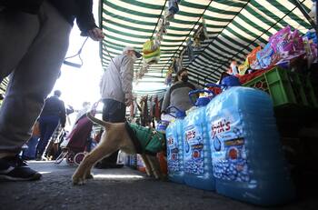 IFE Universal: revisa la fecha de pago en agosto y monto por familia