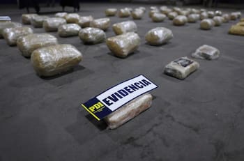 Trasladaban droga solo en Luna Nueva: PDI da golpe al narcotráfico con decomiso de 500 millones