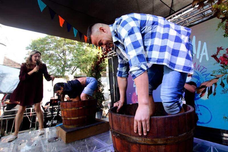 Conoce que actividades puedes realizar en distintas ferias de la Vendimia. Créditos: ATON.