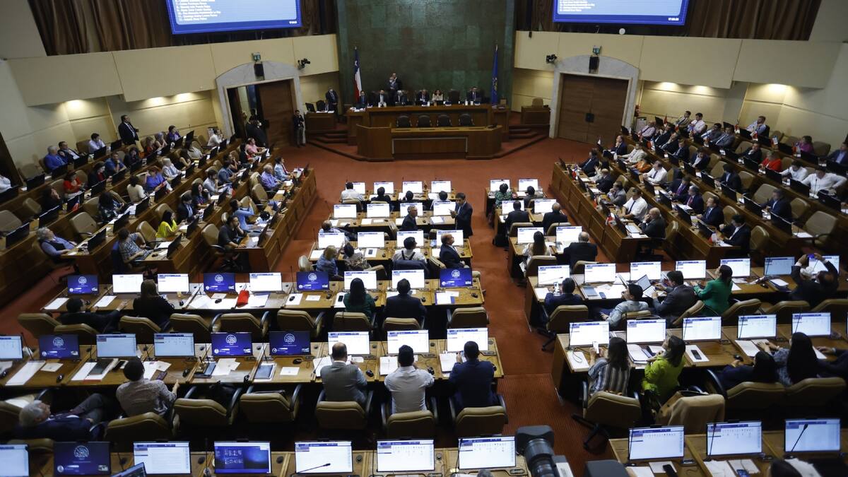 Cámara de Diputados definió 12 personas para Comisión Experta: ¿Quiénes son y a qué se dedican?
