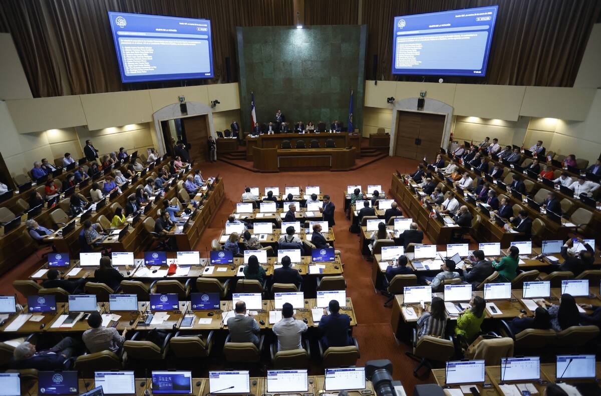 Cámara de Diputados definió 12 personas para Comisión Experta: ¿Quiénes son y a qué se dedican?