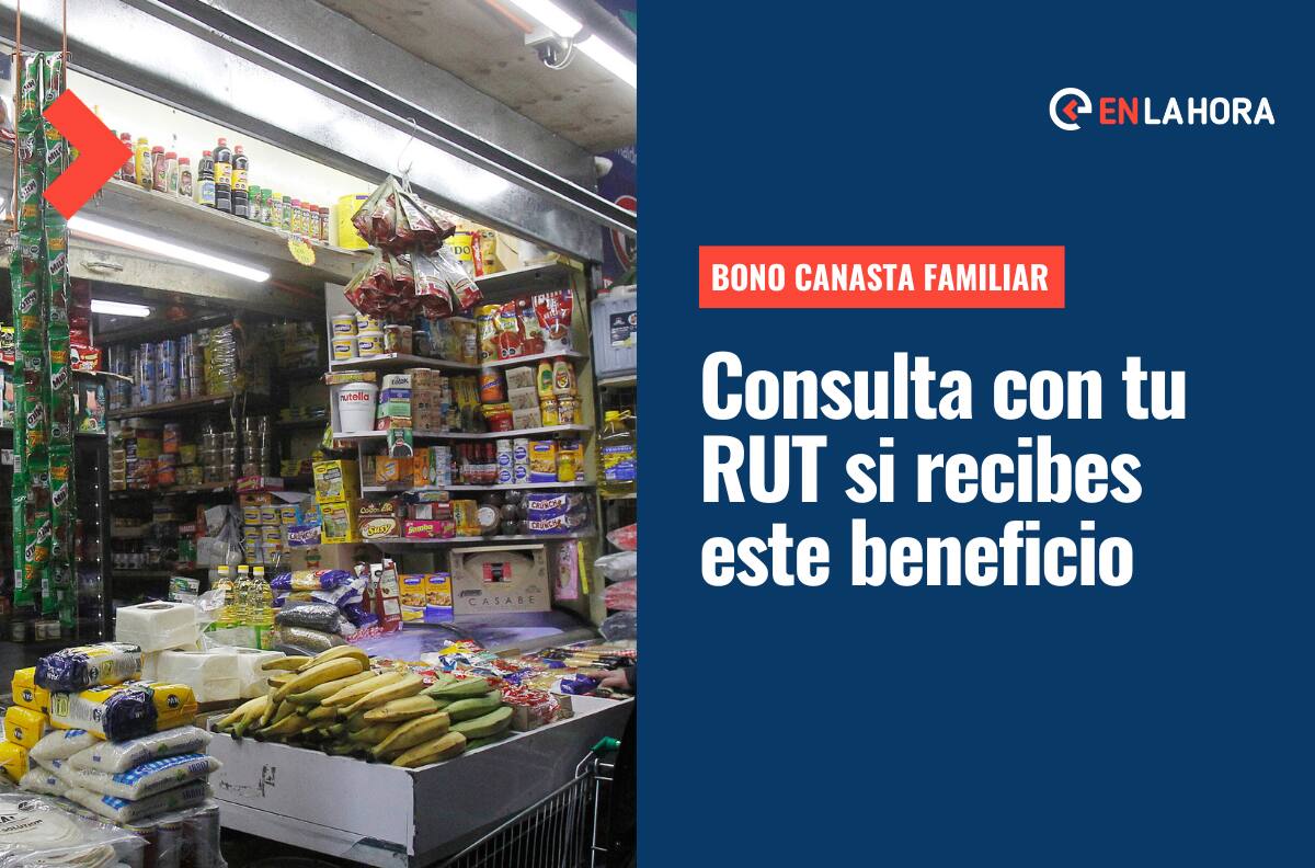 Bono Canasta Familiar: Consulta con tu RUT si recibes este beneficio y cuándo sería tu primer pago
