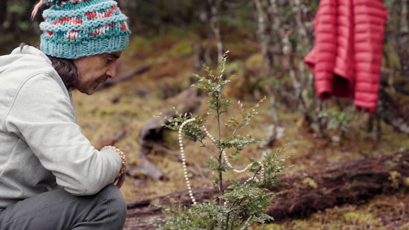 Nicolás Iturra planta un árbol en nombre de su hermano