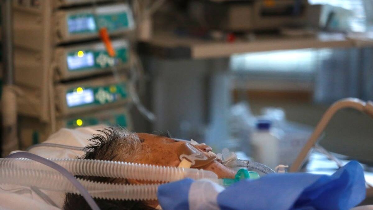 Confirman segundo caso de hantavirus en 2021: Paciente está conectado a ventilación mecánica