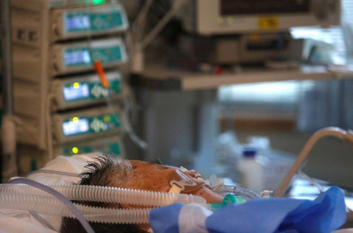 Confirman segundo caso de hantavirus en 2021: Paciente está conectado a ventilación mecánica