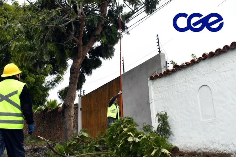 La empresa comenzó con su plan en enero de este año.