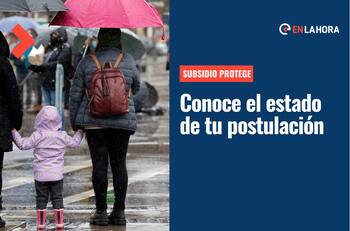 Subsidio Protege: ¿Cómo puedo conocer mi estado de postulación para recibir los $600.000?