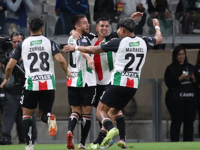 Con precios populares: Palestino cierra su participación en la fase de grupos de Copa Sudamericana