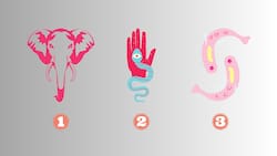 Elige un animal y conoce qué necesitas potenciar en tu forma de ser