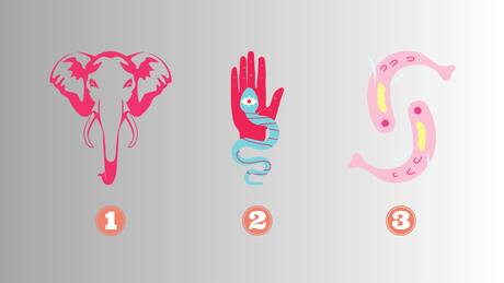 Elige un animal y conoce qué necesitas potenciar en tu forma de ser