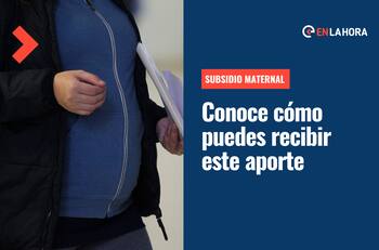 Subsidio Maternal: ¿Cuáles son los requisitos para recibir este aporte y cómo postular?