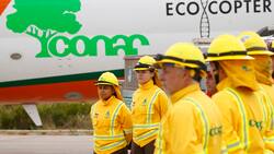 CONAF busca trabajadores: pagan desde $1.015.000