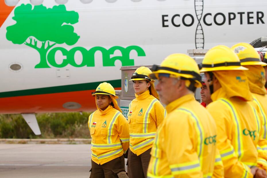 Conoce los empleos que tiene CONAF.
