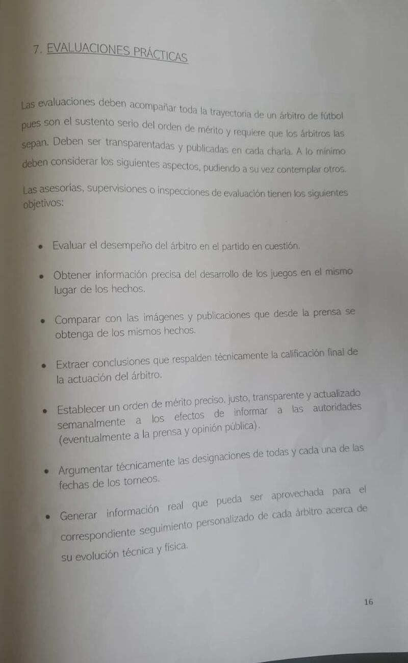 King Kong Leaks, Informe Javier Castrilli