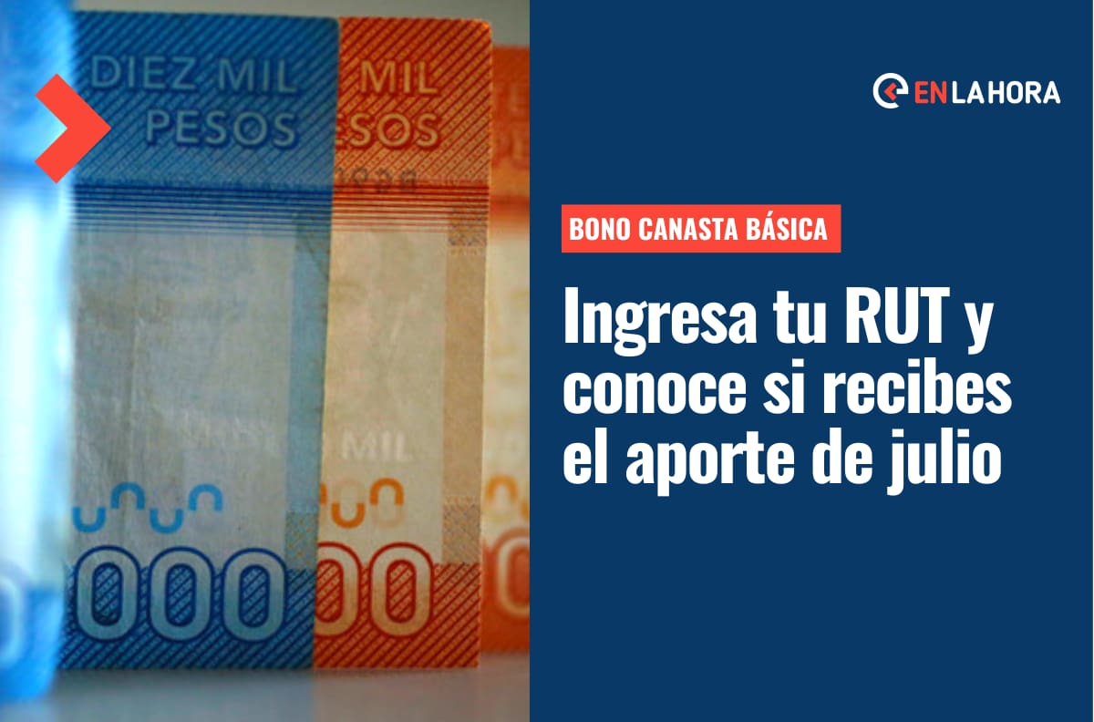 Bono Canasta Básica: Consulta con tu RUT si recibes el aporte que se comenzará a pagar esta semana