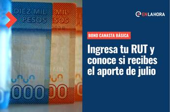 Bono Canasta Básica: Consulta con tu RUT si recibes el aporte que se comenzará a pagar esta semana