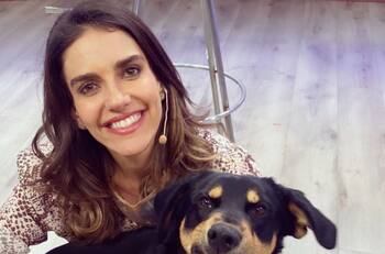 ¡Fueron 8 kilómetros!: El extenso recorrido que realizó el perrito adoptado por María Luisa Godoy