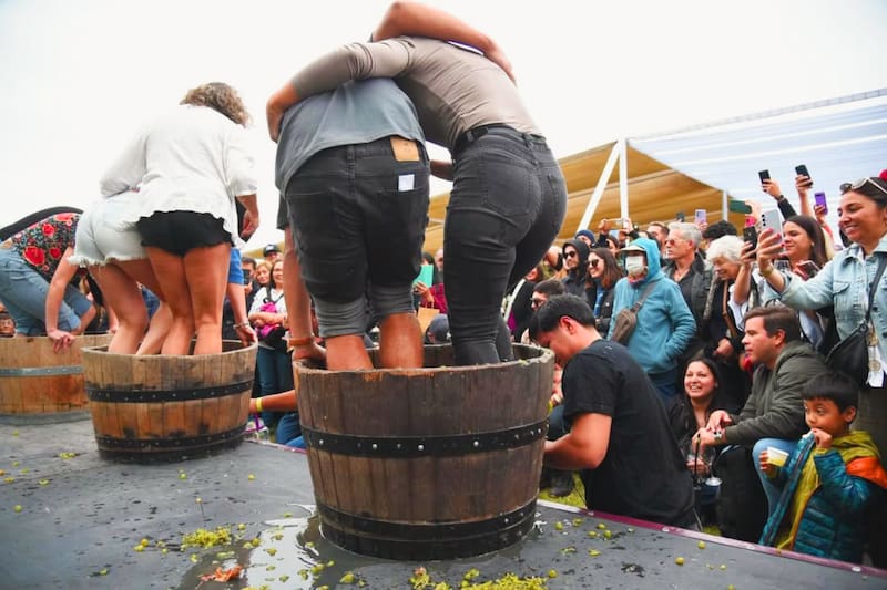 Además de excelentes vinos, el evento contará con una variedad de actividades y atracciones. Foto: Vendimia Valle de Casablanca en Instagram.