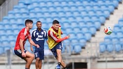 Campeón de América a bordo: las 2 novedades en el cuerpo técnico de Nicolás Córdova para la gira en Oceanía