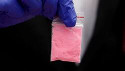 TENS fue sorprendido intentando ingresar "tusi" y marihuana a cárcel de Punta Arenas