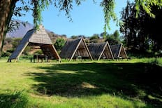 Una belleza en la Región de Valparaíso: Este camping ubicado al borde de un estero es ideal para refrescarse en primavera