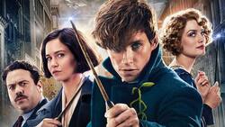 Malas noticias: "Animales fantásticos 3" detiene sus grabaciones por tener a un miembro de su equipo con Covid-19