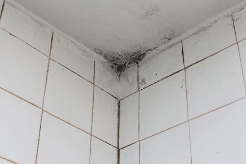 Te contamos cómo puedes eliminar por completo los hongos de tu baño.