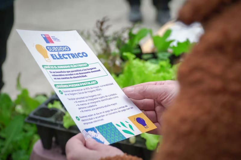 Los resultados se entregarán en septiembre.
Créditos: Ministerio de Energía.