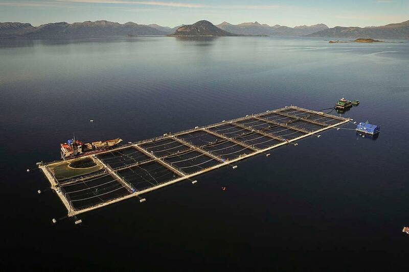 se enfrenta a vecinos por proyecto de salmonera.