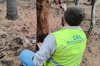 Servicio Agricola y Ganadero busca trabajadores: sueldos empiezan en $820.000