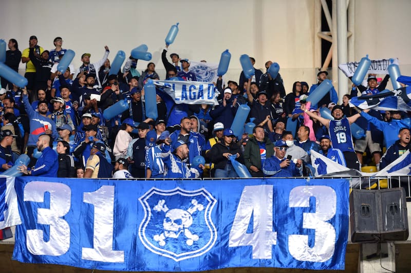 Hinchas de Millonarios en el encuentro por Copa Libertadores ante Palestino.
