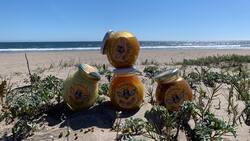 A la creadora de Miel Gibson le "robaron" el nombre de su popular emprendimiento