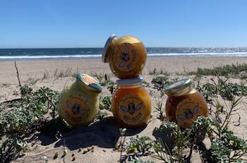 A la creadora de Miel Gibson le "robaron" el nombre de su popular emprendimiento