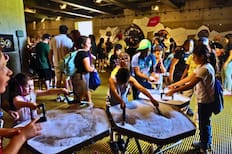 Museo Interactivo Mirador: Conoce los detalles y horarios de este entretenido panorama en Santiago